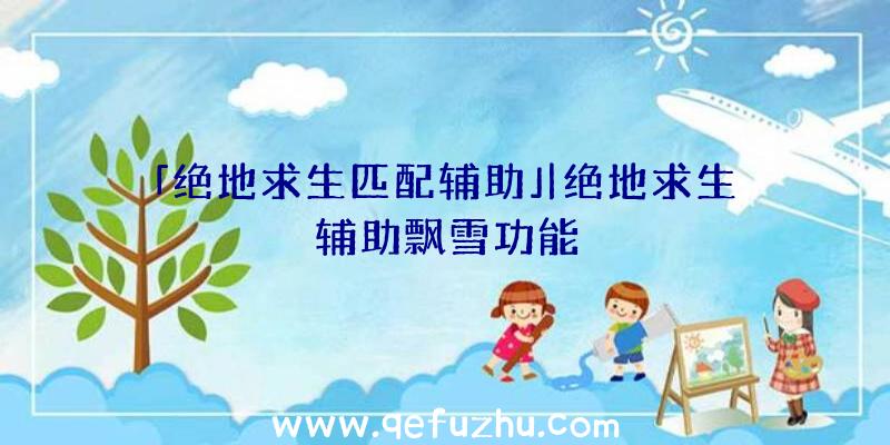 「绝地求生匹配辅助」|绝地求生辅助飘雪功能